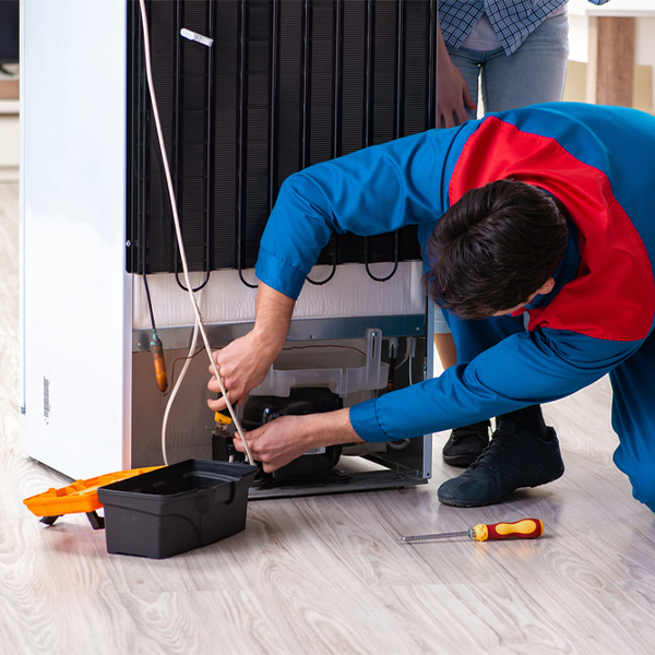 what are the common refrigerator repair services in Dekalb County